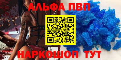 СК Новодвинск