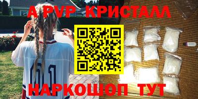 СК Новодвинск