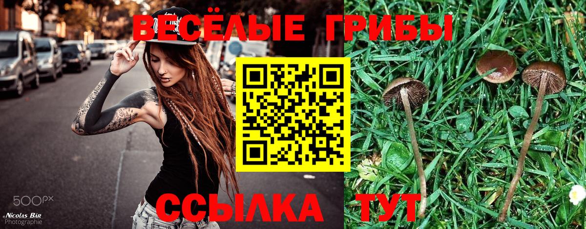 Первоуральск  Псилоцибиновые грибы Psilocybe  Вход с VPN  Галлюциногенные грибы Magic Shrooms 