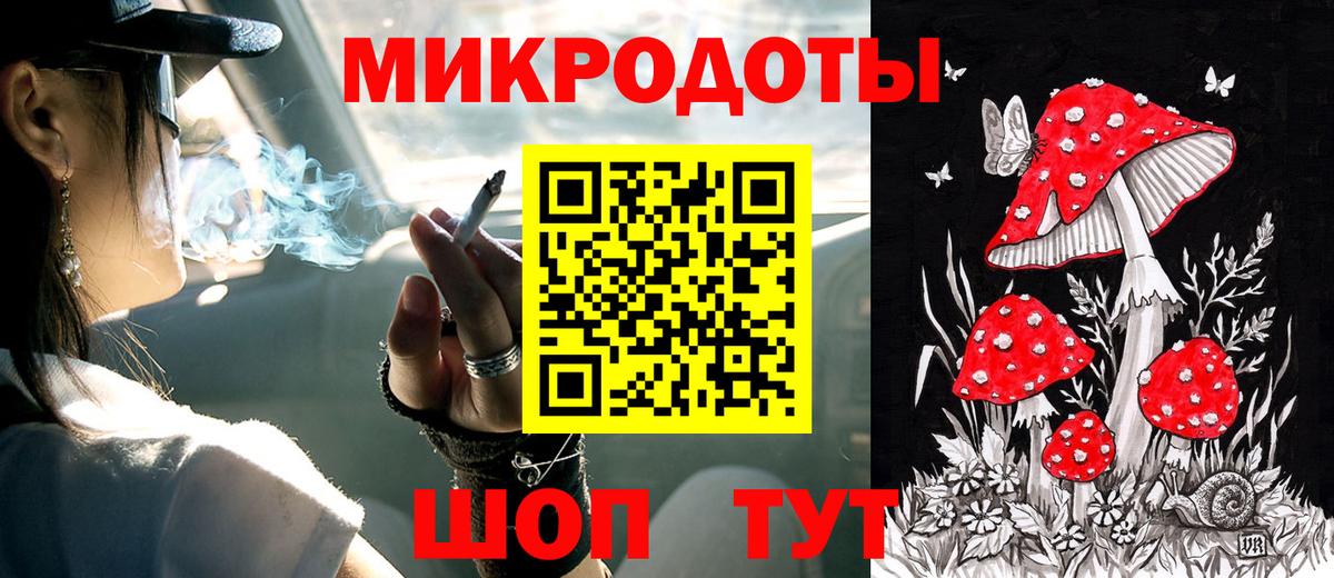 Псилоцибиновые грибы Psilocybe Первоуральск